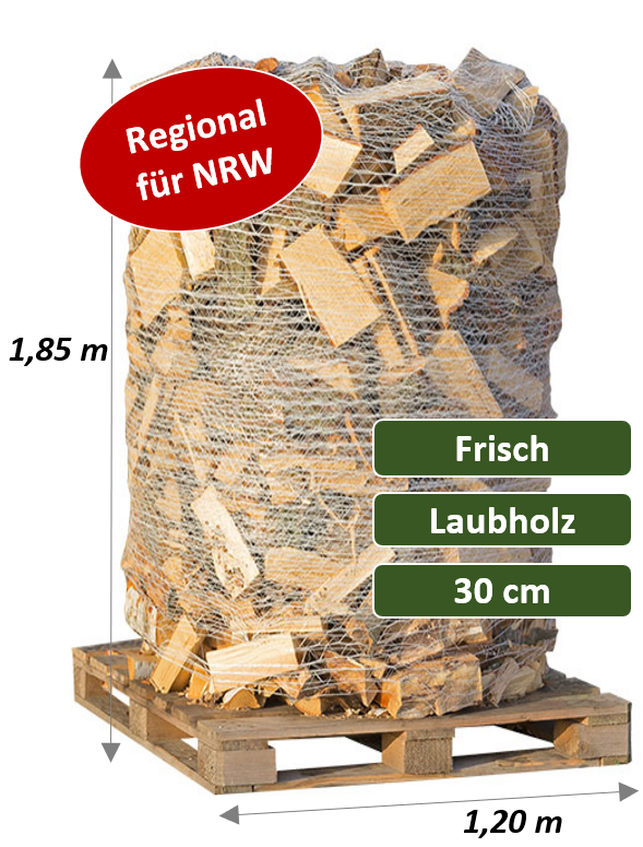 Frisches Kaminholz als Laubholz-Mix auf 2-SRM-Palette