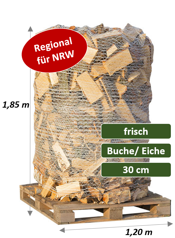 Frisches Kaminholz als Buche/Eiche-Mix auf 2-SRM-Palette