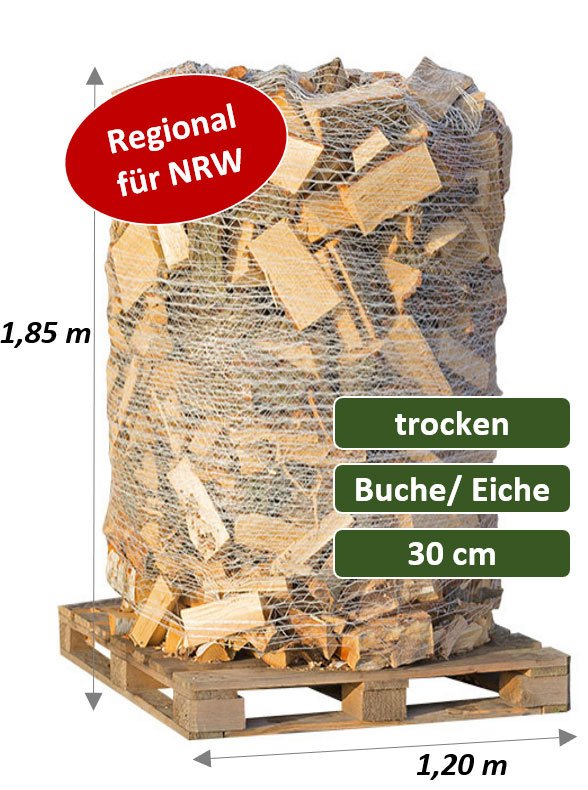 Trockenes Kaminholz als Buche/Eiche-Mix auf 2-SRM-Palette